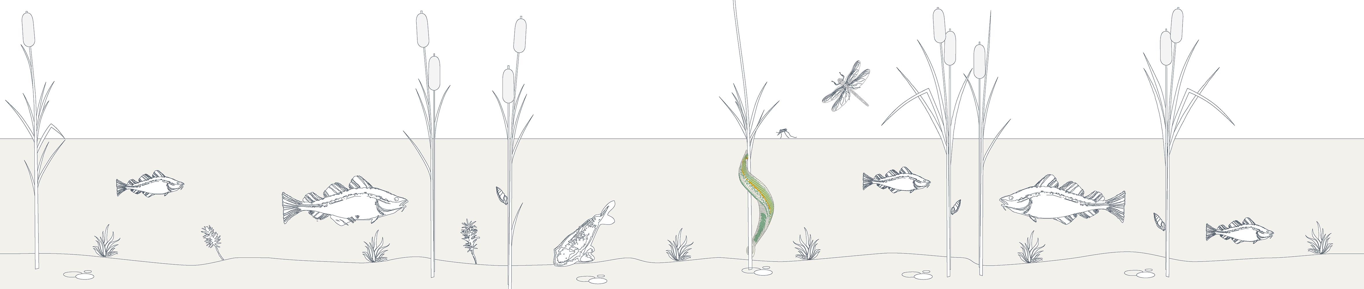 Hintergrund Kopfbereich